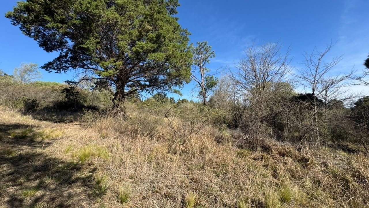 Foto de Terreno en venta- Oportnidad- Casa Grande, imagen 1