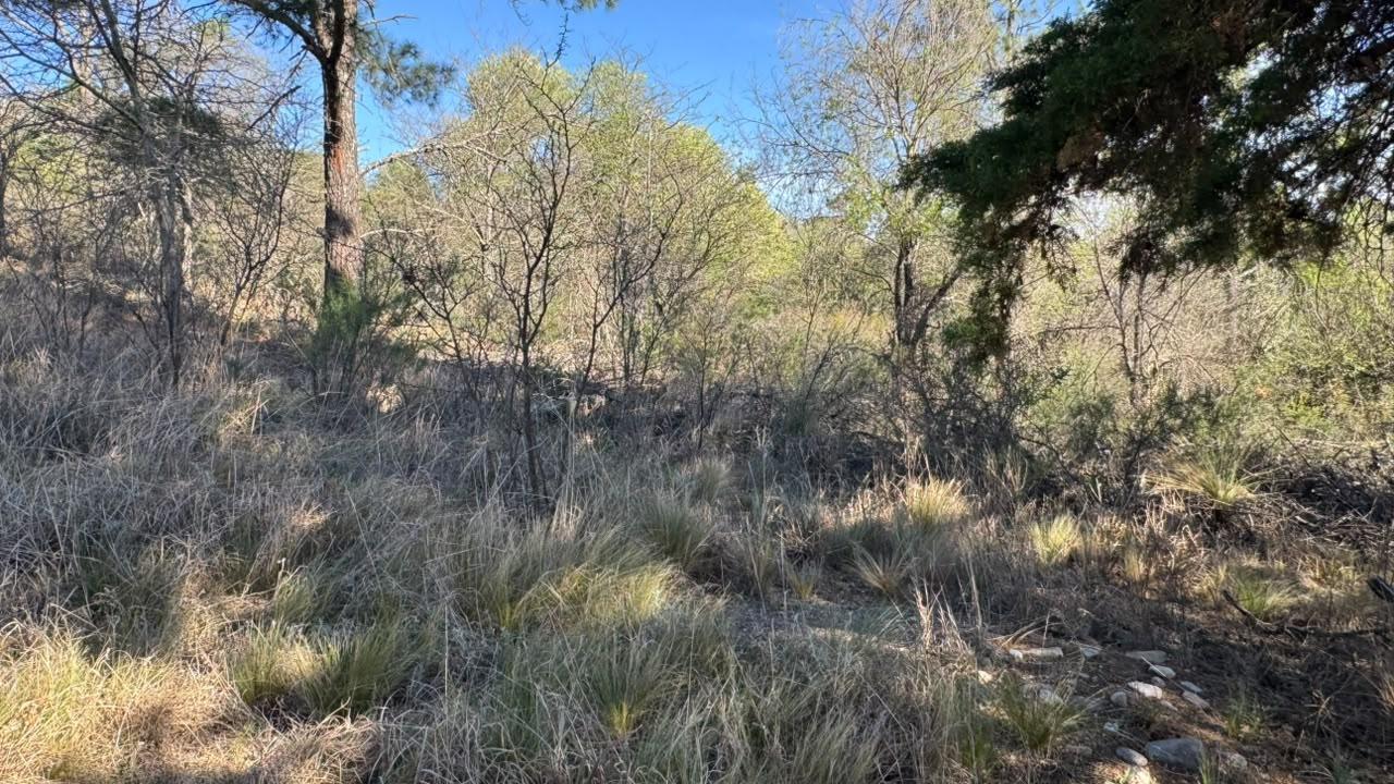 Foto de Terreno en venta- Oportnidad- Casa Grande, imagen 5