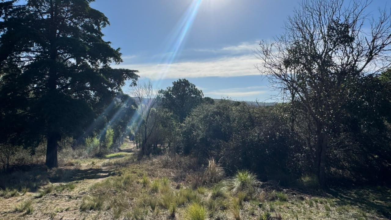 Foto de Terreno en venta- Oportnidad- Casa Grande, imagen 2
