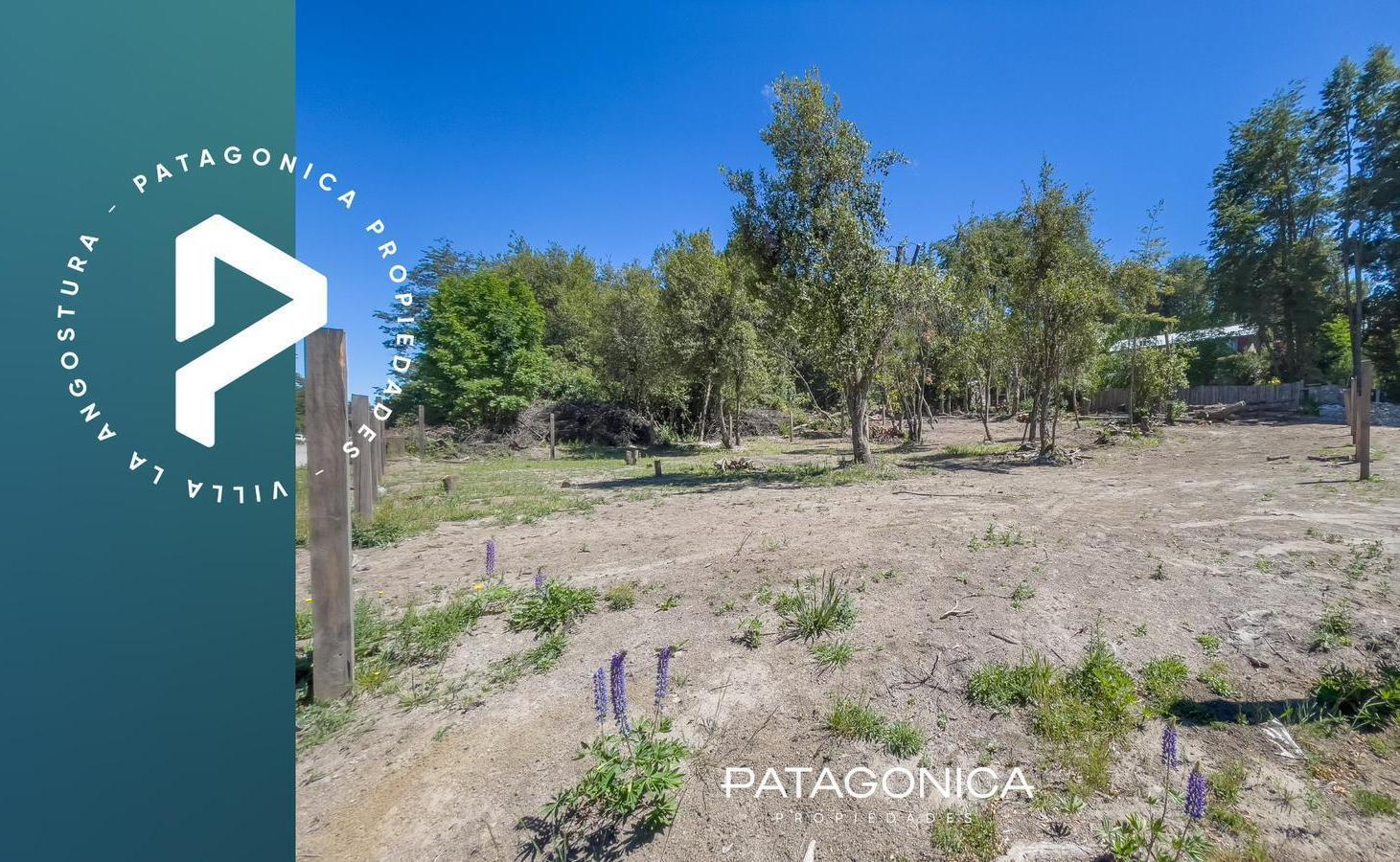 Foto de TeVENTA LOTE 260m2 PH, PLANO APROB. 100m2, CENTRO, VILLA LA ANGOSTURA, imagen 4