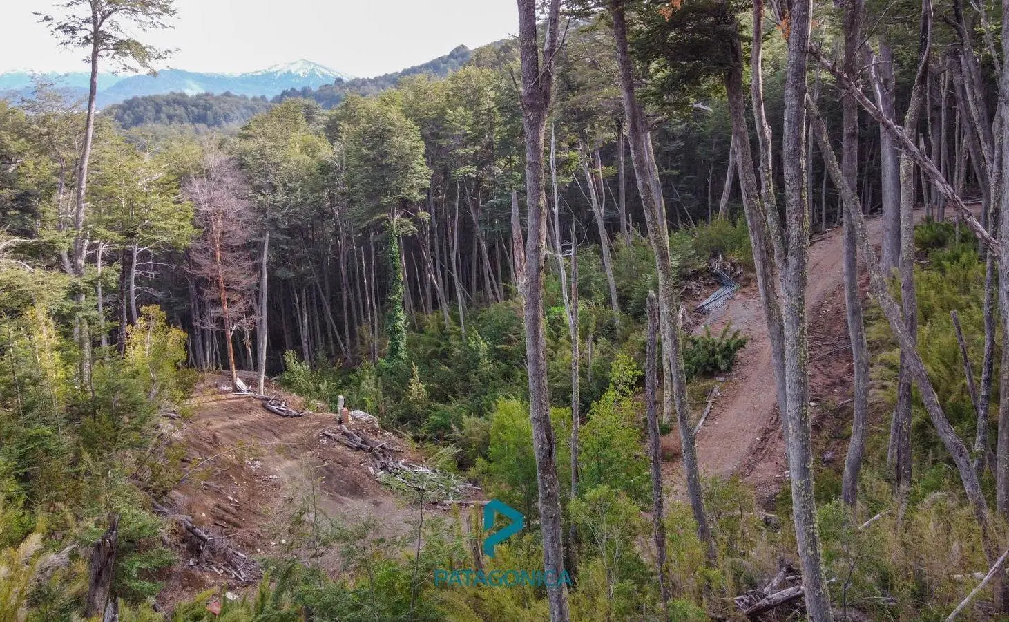 VENTA LOTE UF 2A, APTO 2 UF, 4.008m2, CON VISTA AL LAGO, COTA MIL 5