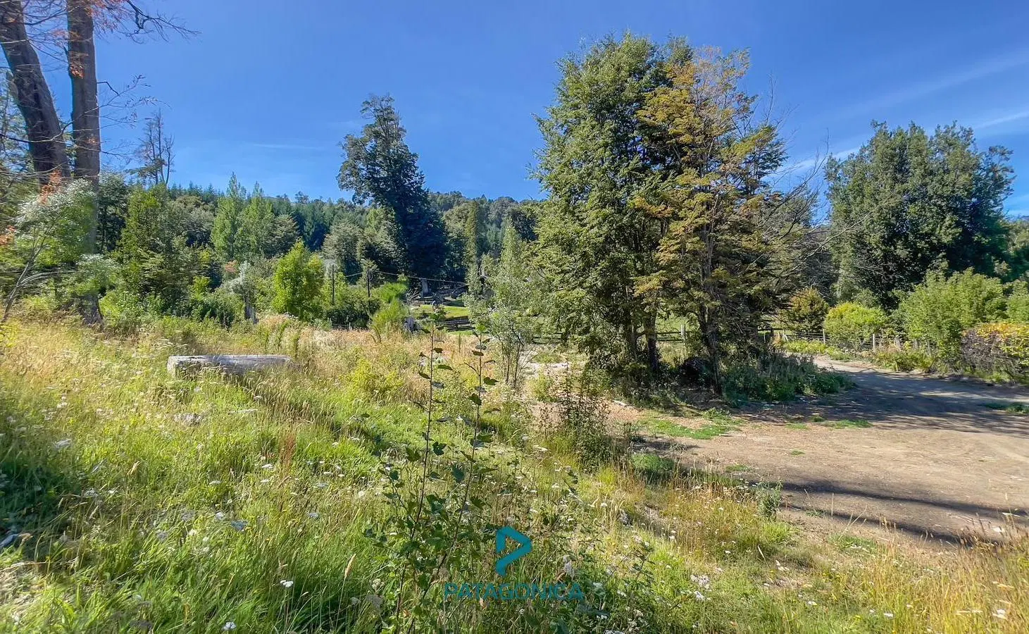 VENTA LOTE 1.207m2 PH, PUERTO MANZANO, VILLA LA ANGOSTURA 2