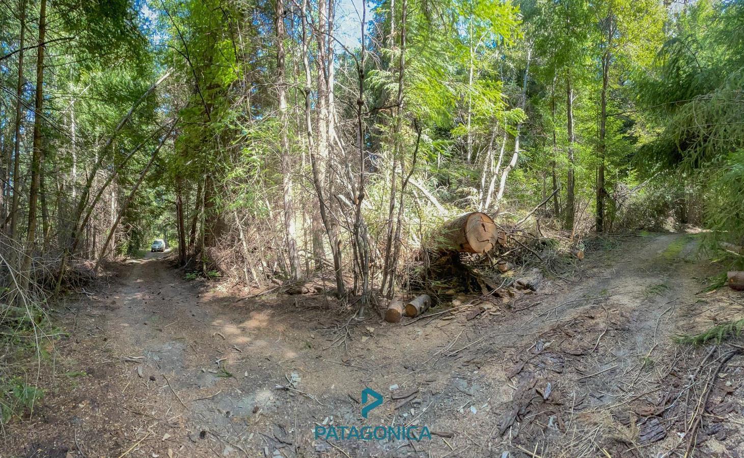 Foto de VENTA LOTE 2100 m2 APTO 2 UF , PUERTO MANZANO, VILLA LA ANGOSTURA, imagen 3
