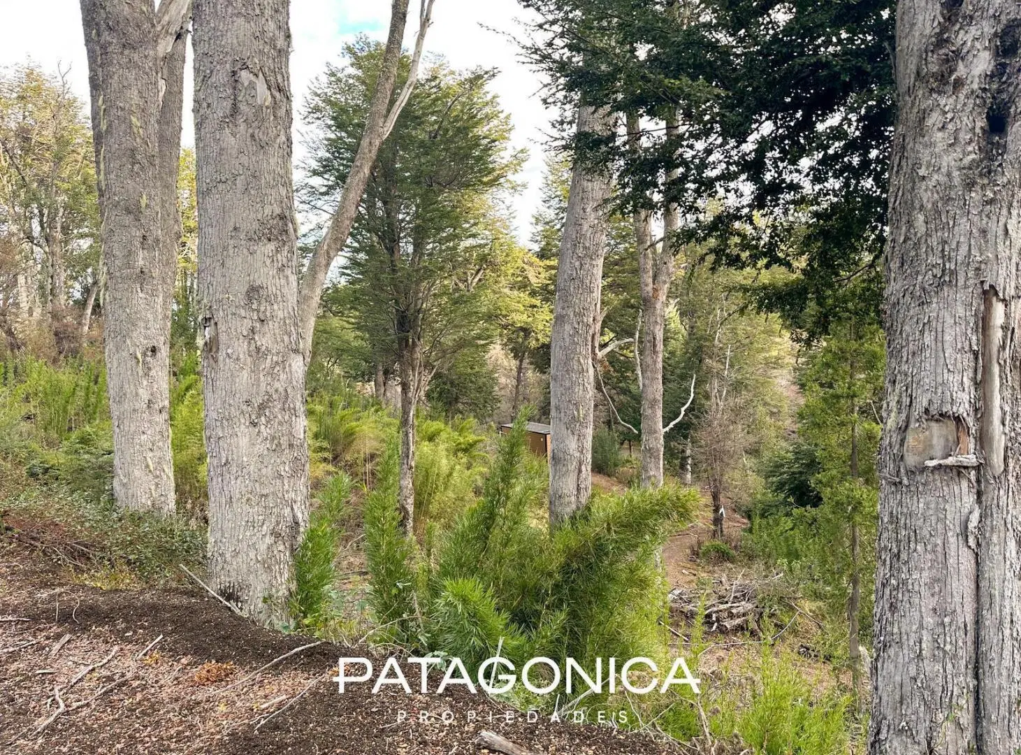 Lote 1.391 m2 con vista a la montaña - Faldeo del Bayo. 5