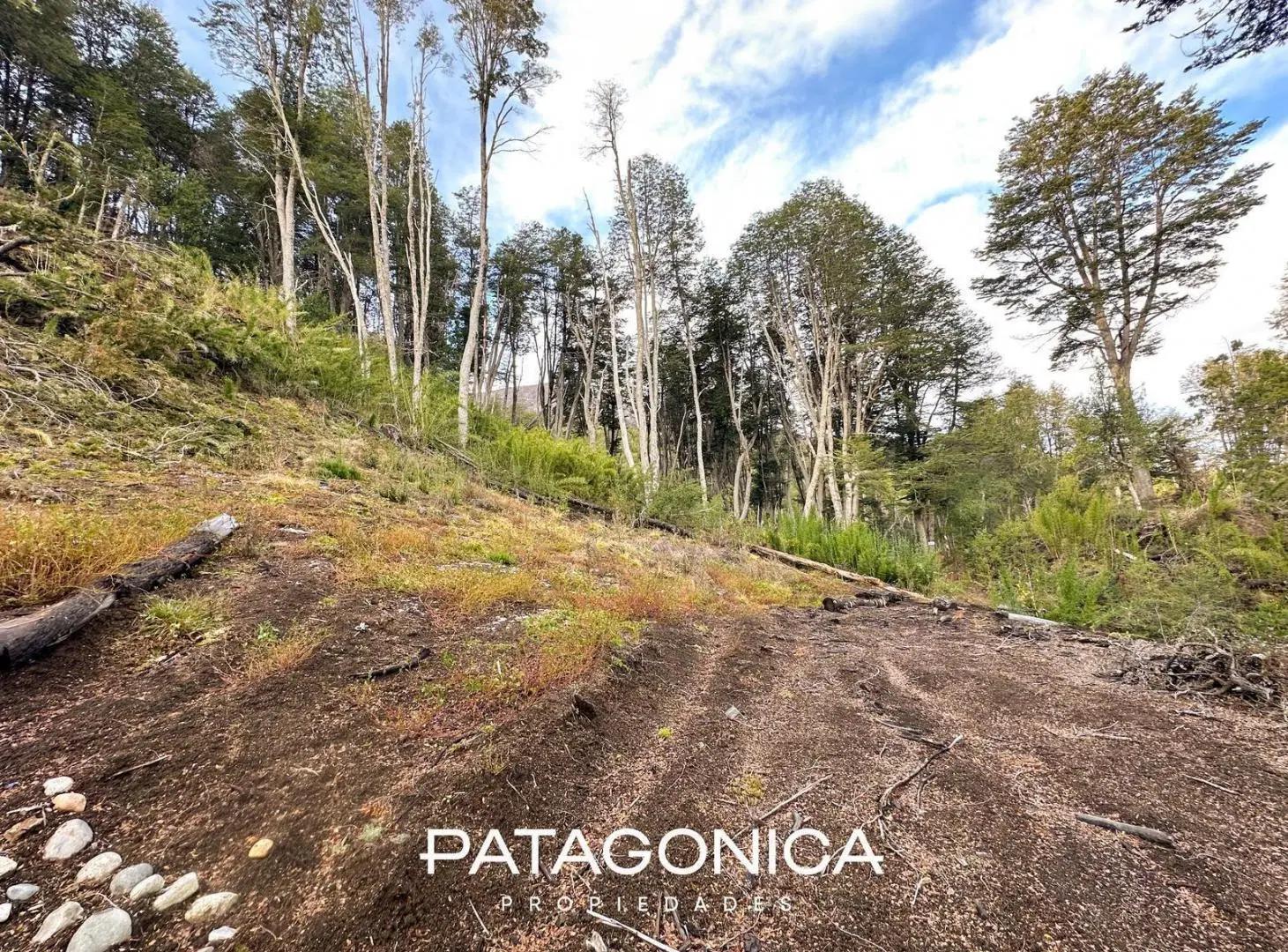 Lote 1.391 m2 con vista a la montaña - Faldeo del Bayo. 8