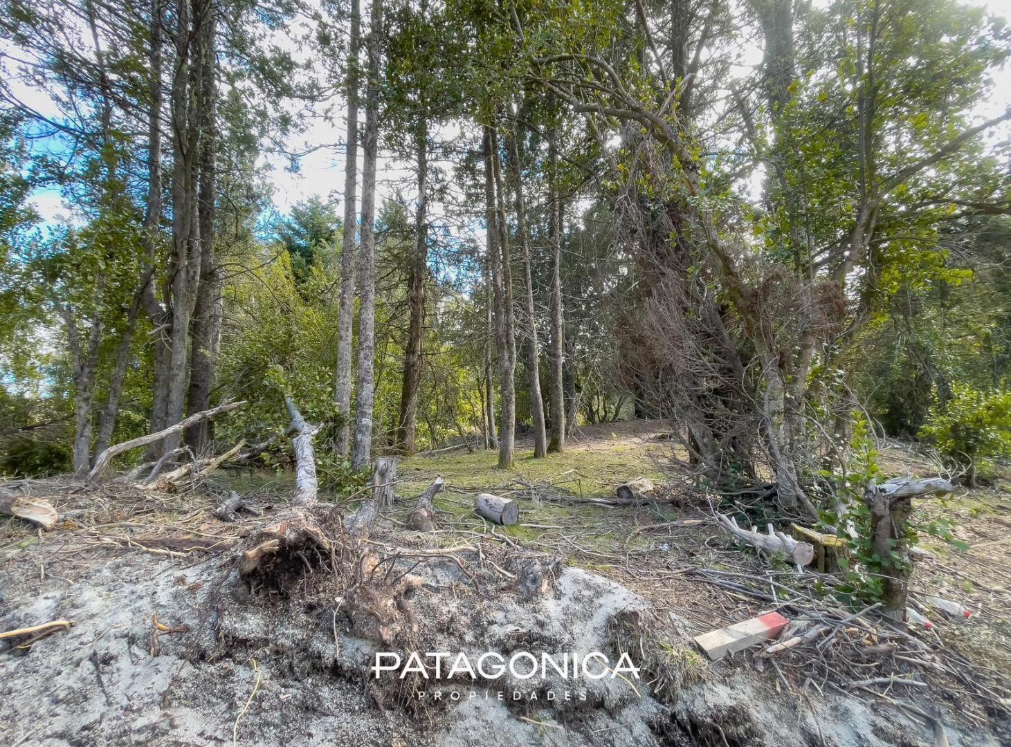 Foto de Terreno en Villa La Angostura, imagen 4