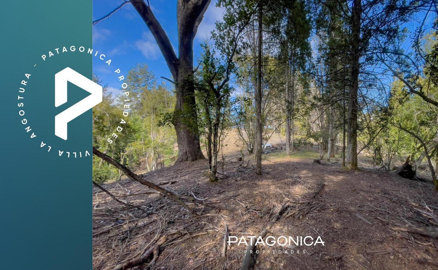Foto de Terreno en Villa La Angostura, imagen 1