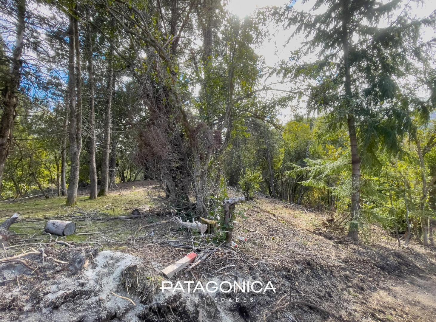 Foto de Terreno en Villa La Angostura, imagen 5