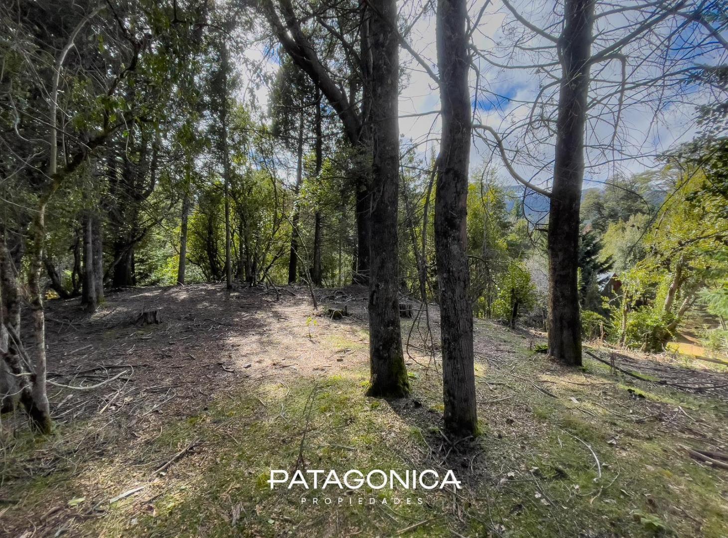 Foto de Terreno en Villa La Angostura, imagen 2