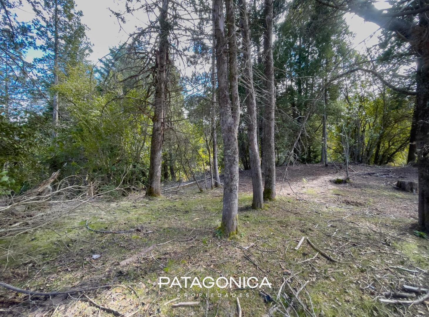 Foto de Terreno en Villa La Angostura, imagen 3