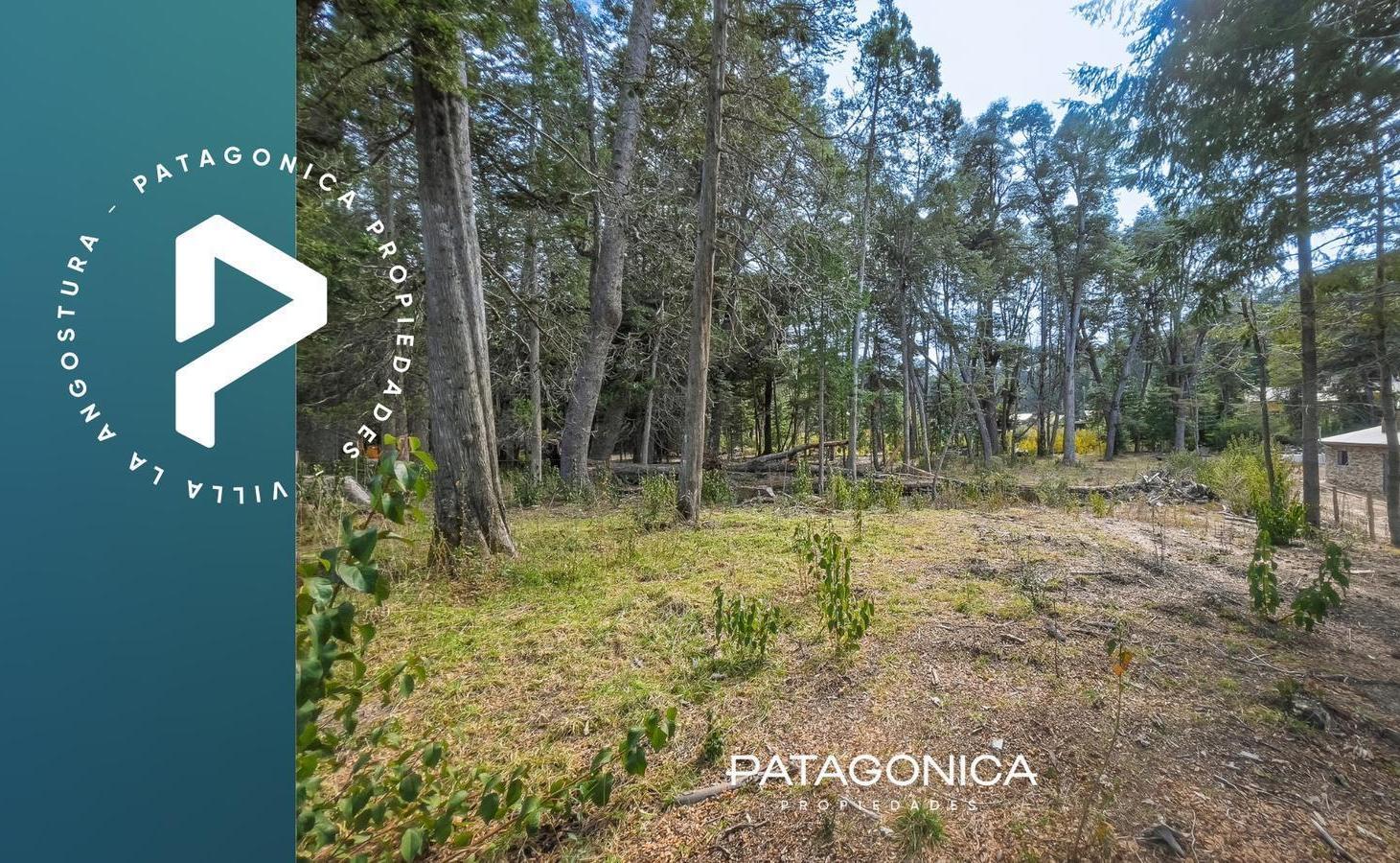 Foto de Terreno en Villa La Angostura, imagen 1