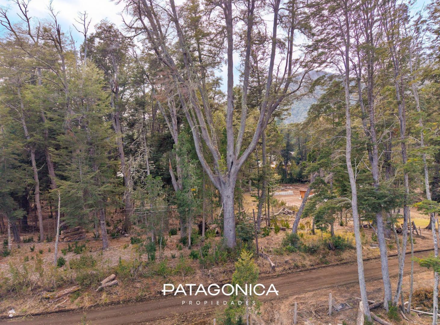 Foto de Terreno en Villa La Angostura, imagen 2