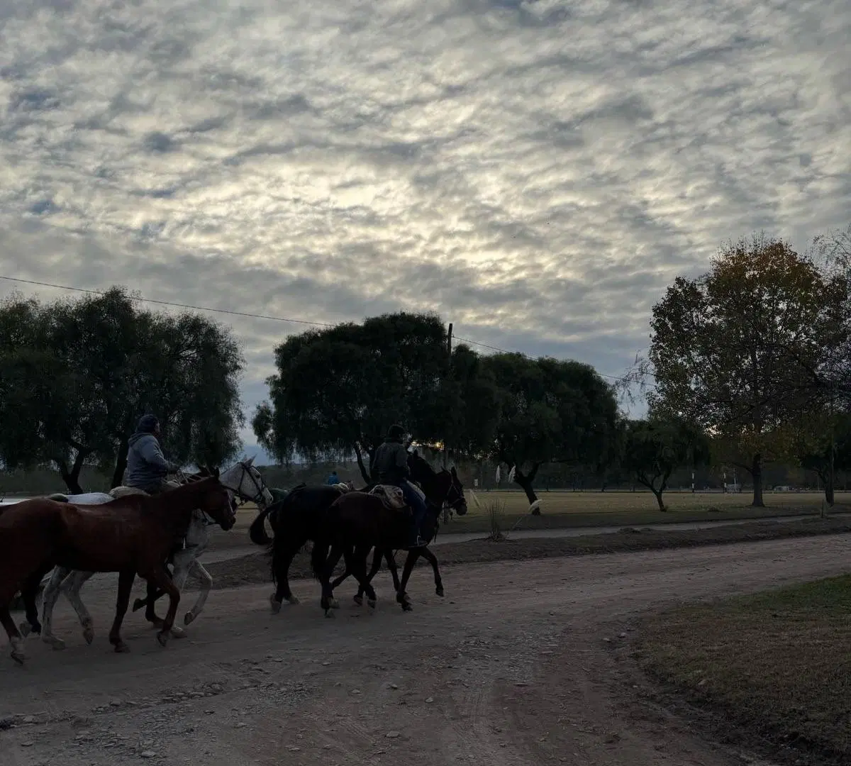 Lote en venta LAS CORTADERAS - TAPIA 5