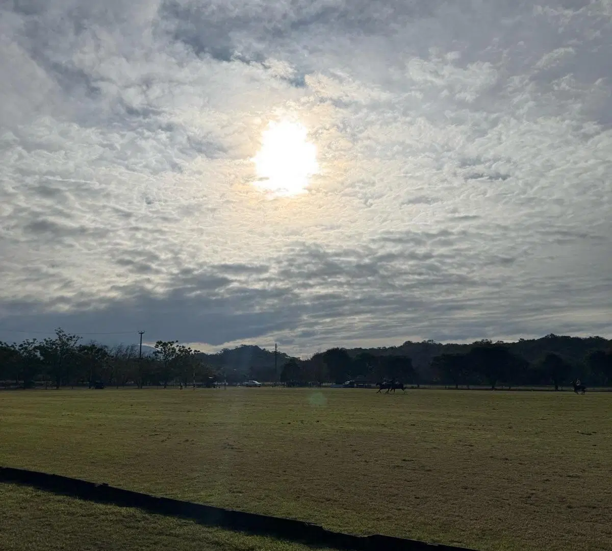 Lote en venta LAS CORTADERAS - TAPIA 7