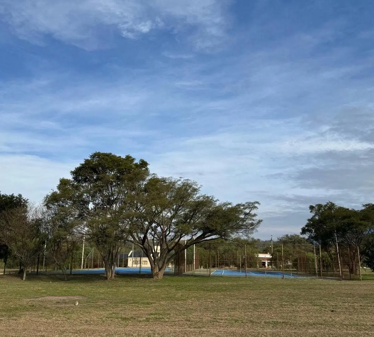 Lote en venta LAS CORTADERAS - TAPIA 4
