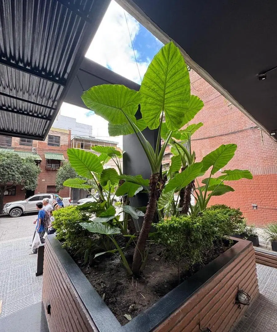 MONO AMOBLADO EN VENTA - MONTEAGUDO 500 2