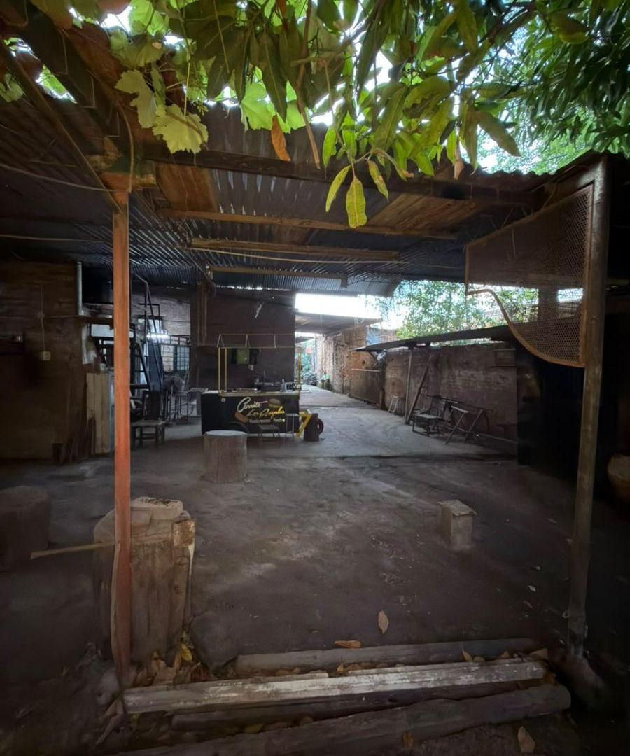 Foto de Casa + Local Comercial con Cámara Frigorífica y Galpón en venta, imagen 5