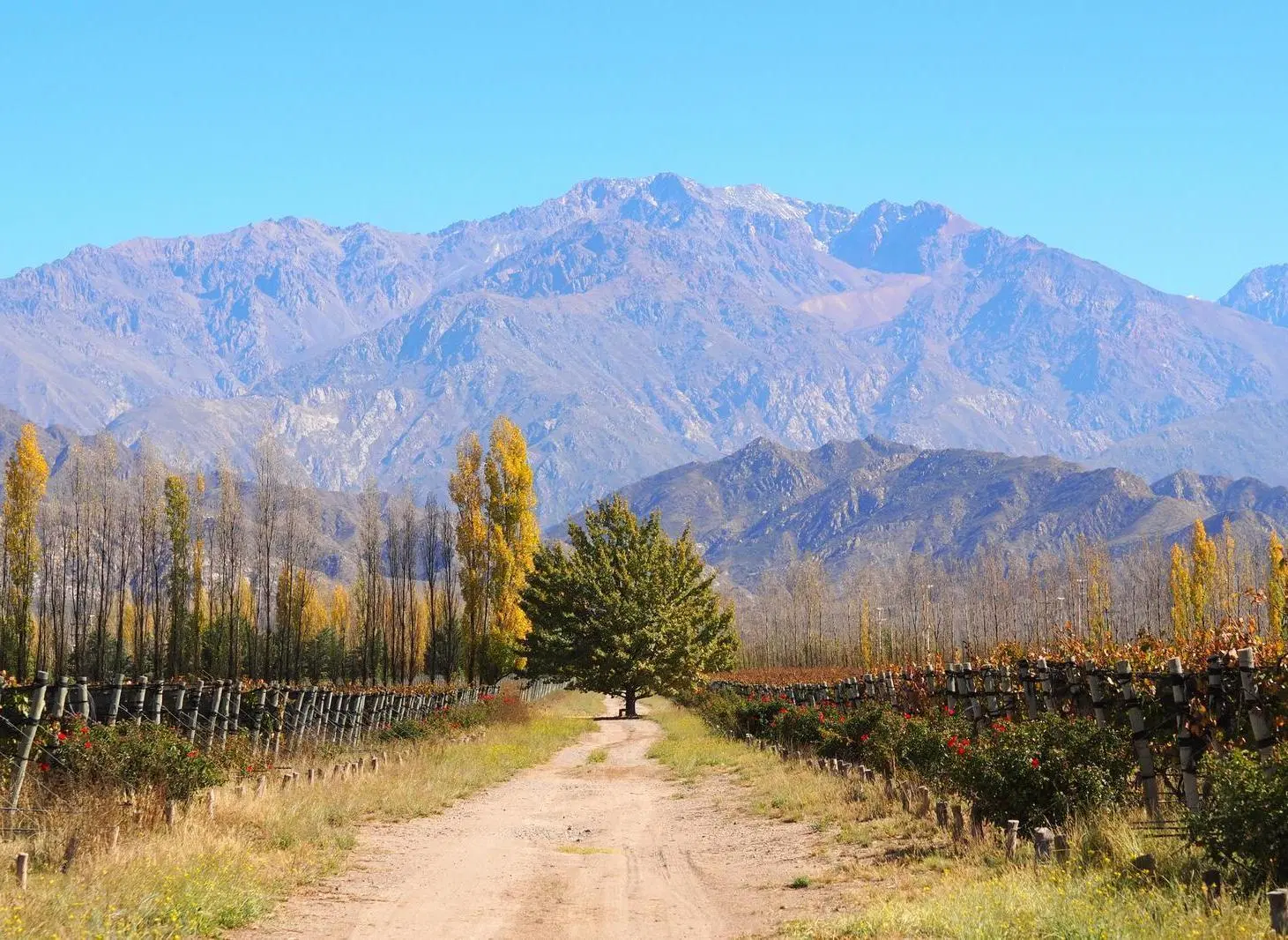 Finca en El Cepillo, 90 Hectareas, Valle del Uco, Provincia de Mendoza 2