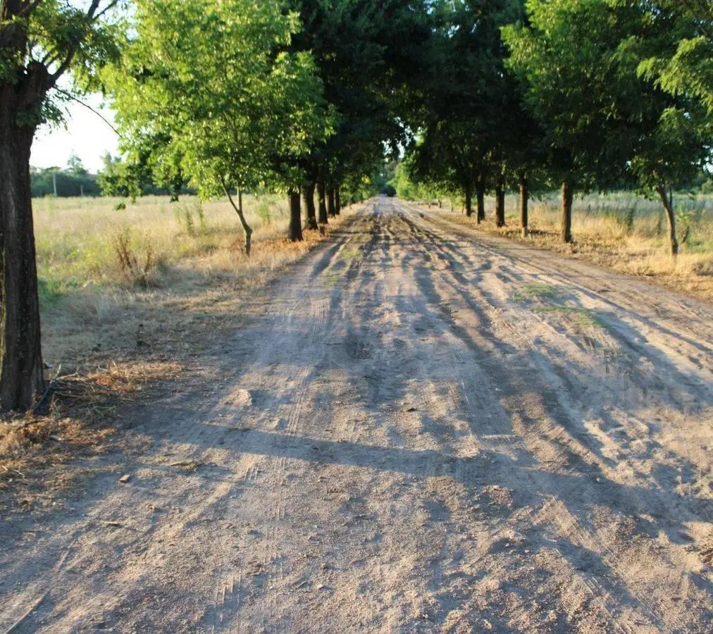 Venta Campo General Rodriguez Zona Oeste Argentina Fraccionable 8