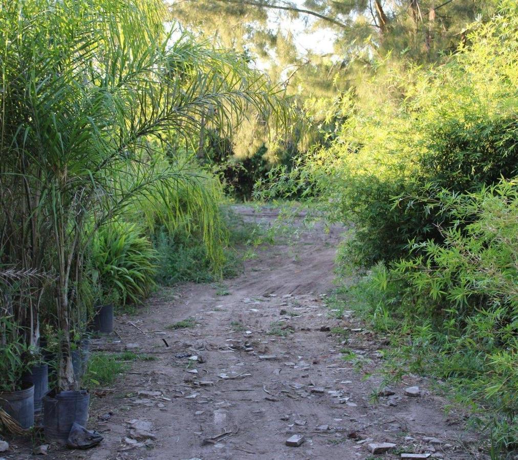 Foto de Venta Campo General Rodriguez Zona Oeste Argentina Fraccionable, imagen 4