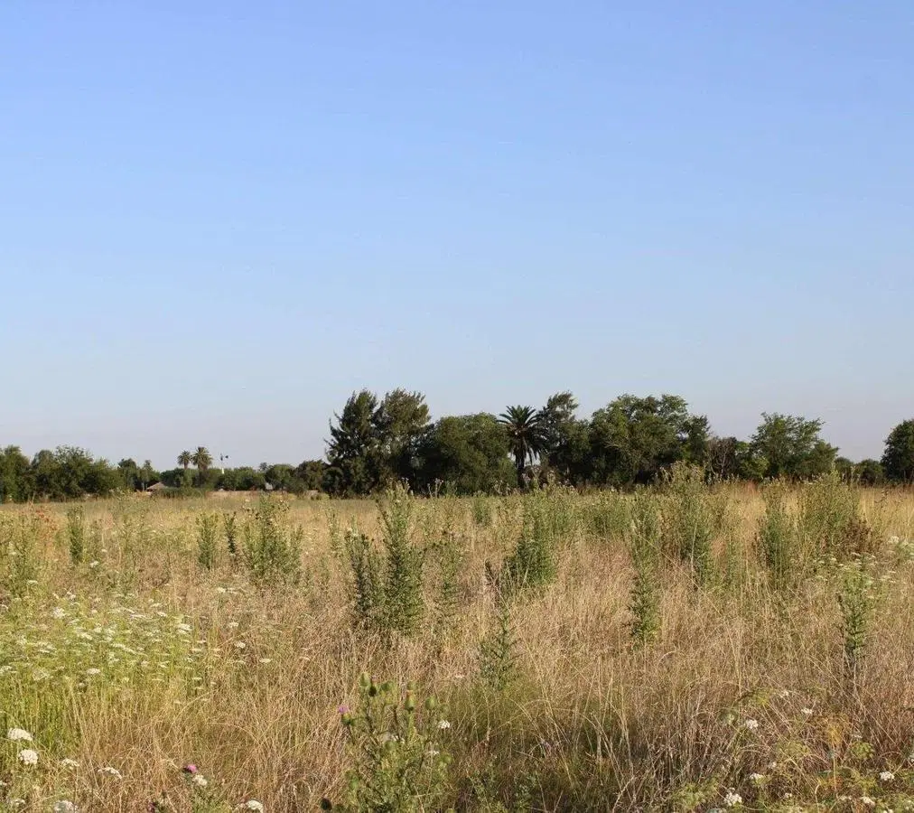 Venta Campo General Rodriguez Zona Oeste Argentina Fraccionable 5