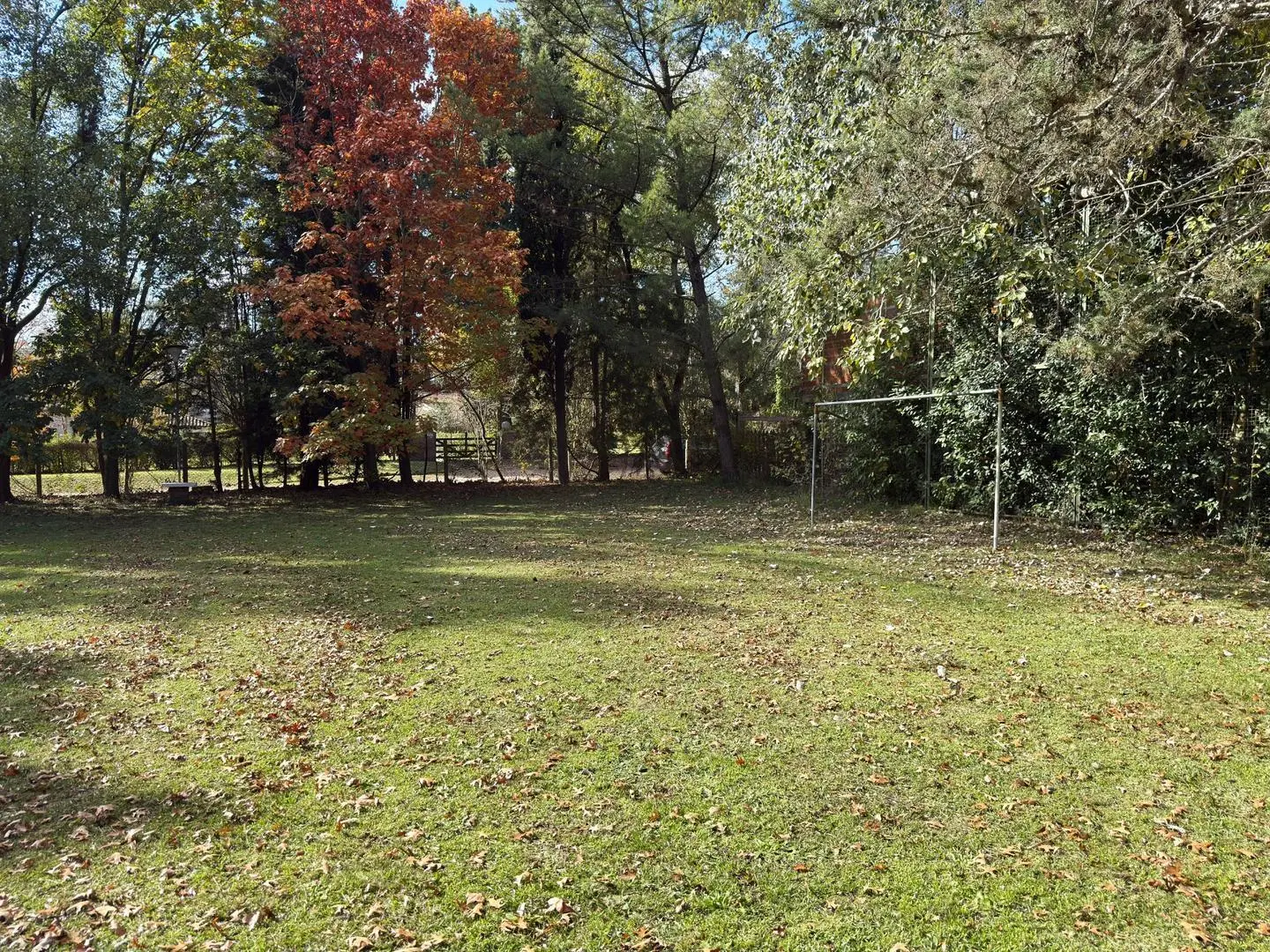 Venta Lotes El Pato 4