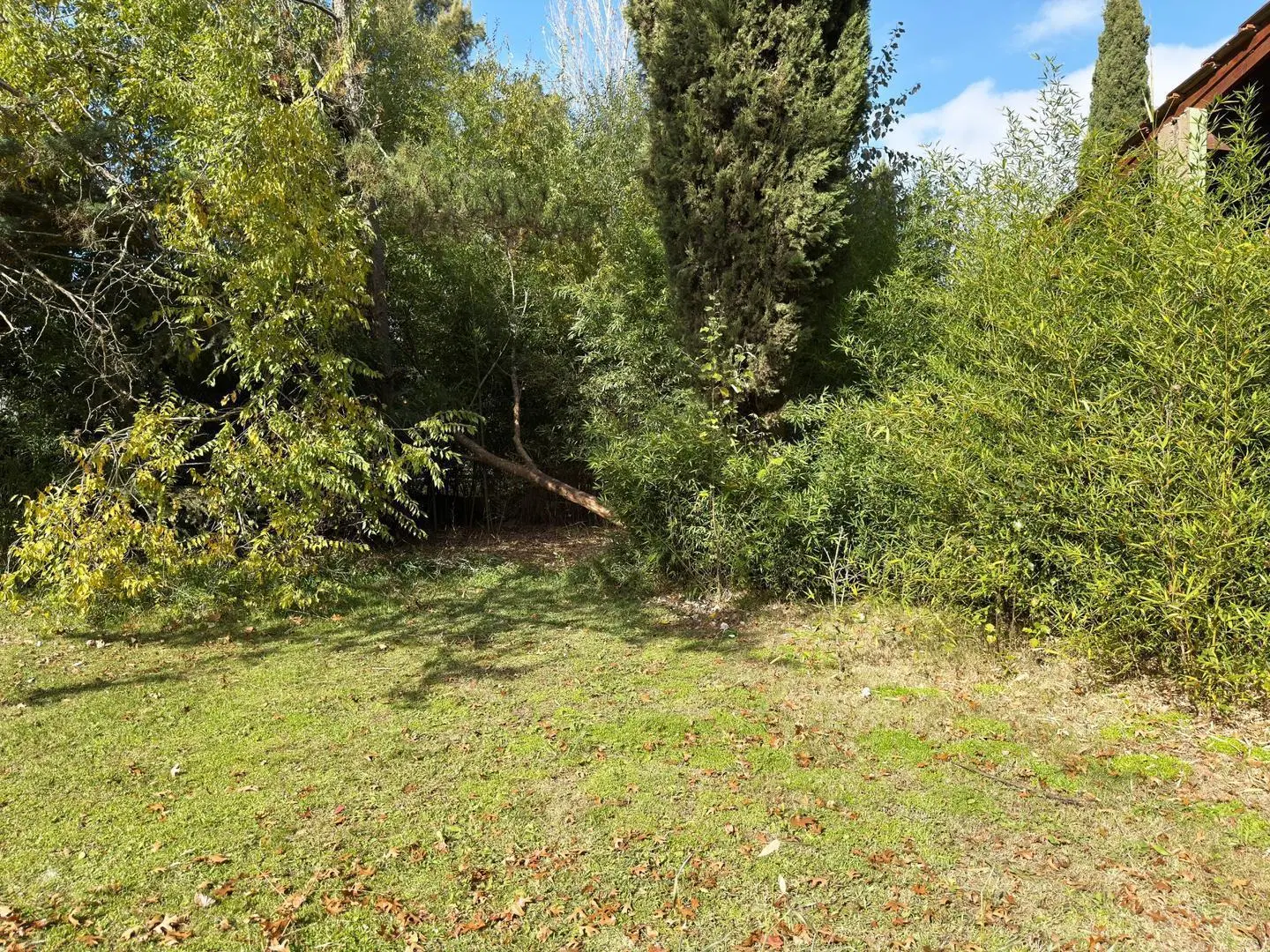 Venta Lotes El Pato 2