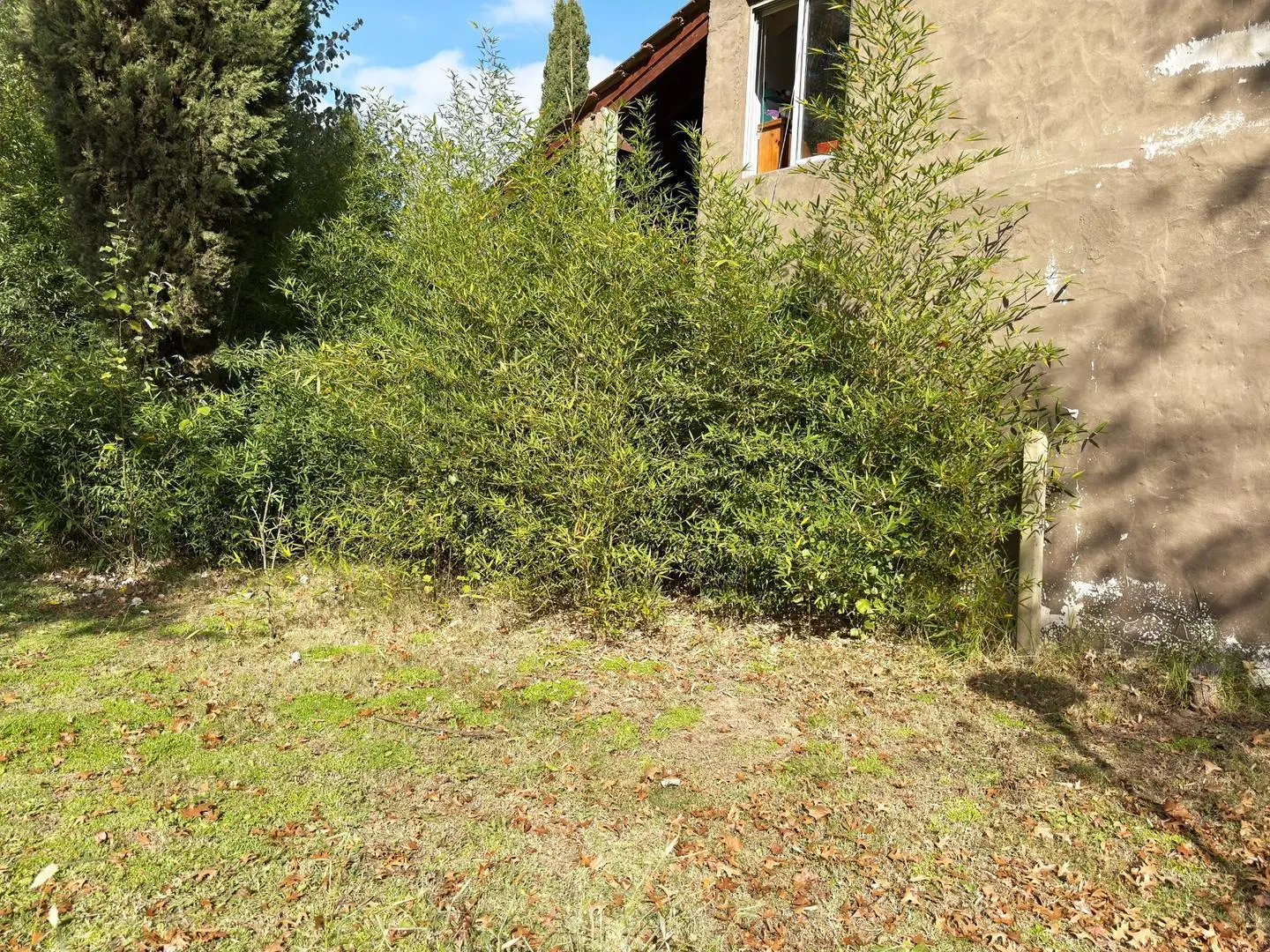 Venta Lotes El Pato 3