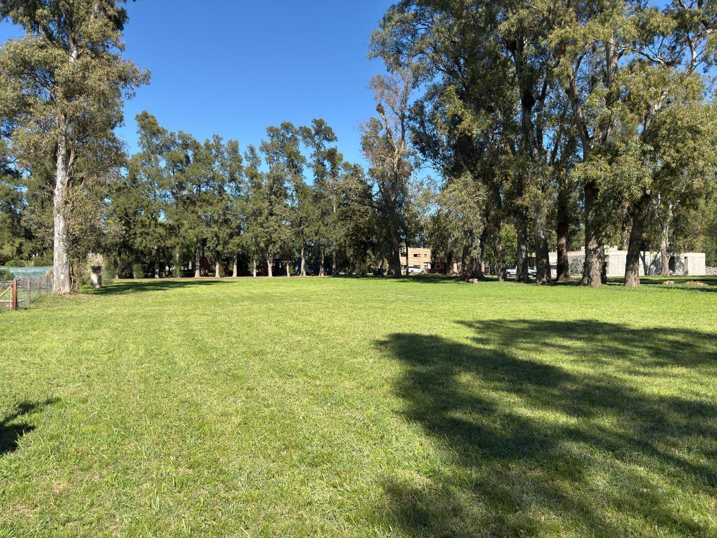 Foto de Venta Lote Barrio La Arbolada, El Pato, imagen 4