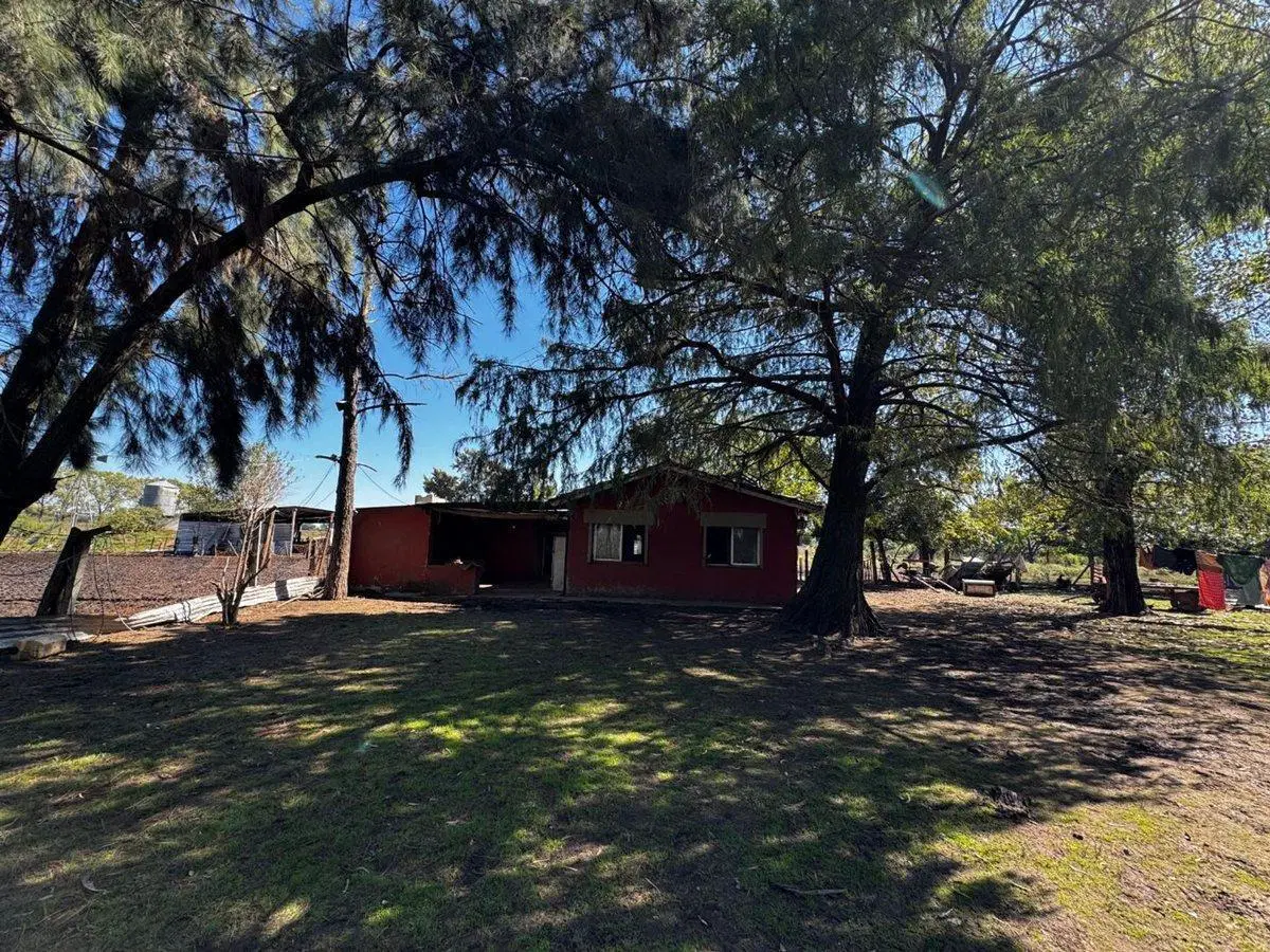 VENTA CAMPO MARCOS PAZ 82HA 3