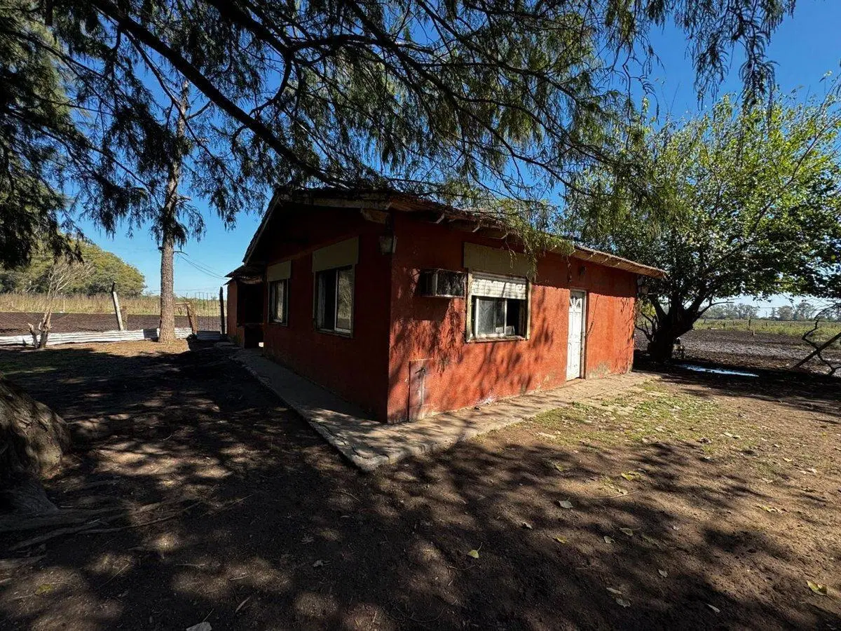 VENTA CAMPO MARCOS PAZ 82HA 5