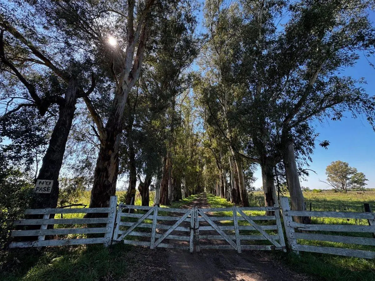 VENTA LOTES TERRENOS EN MARCOS PAZ 82 HECTAREAS 3
