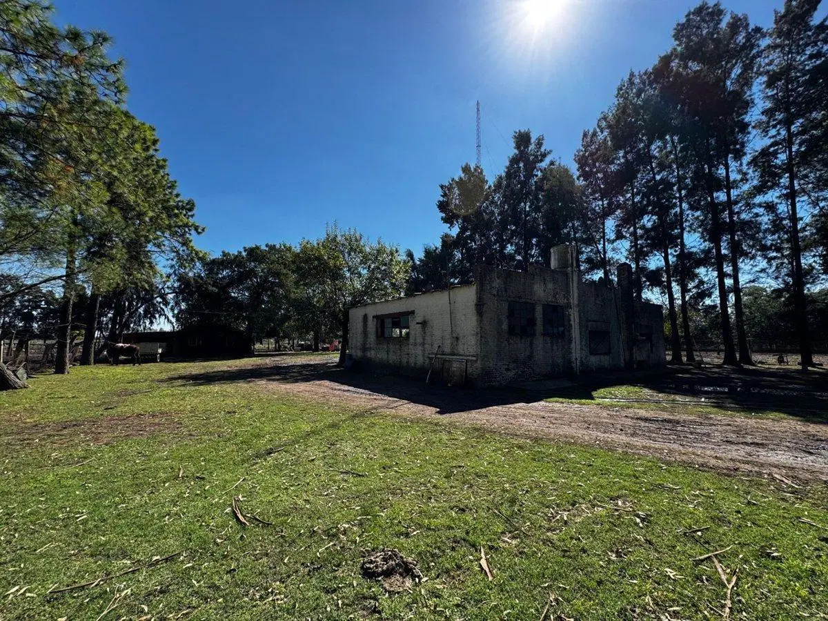 VENTA LOTES TERRENOS EN MARCOS PAZ 82 HECTAREAS 2