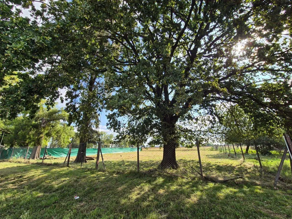 VENTA TERRENO 1000 MTS GRAL RODRIGUEZ ESCRITURA 4