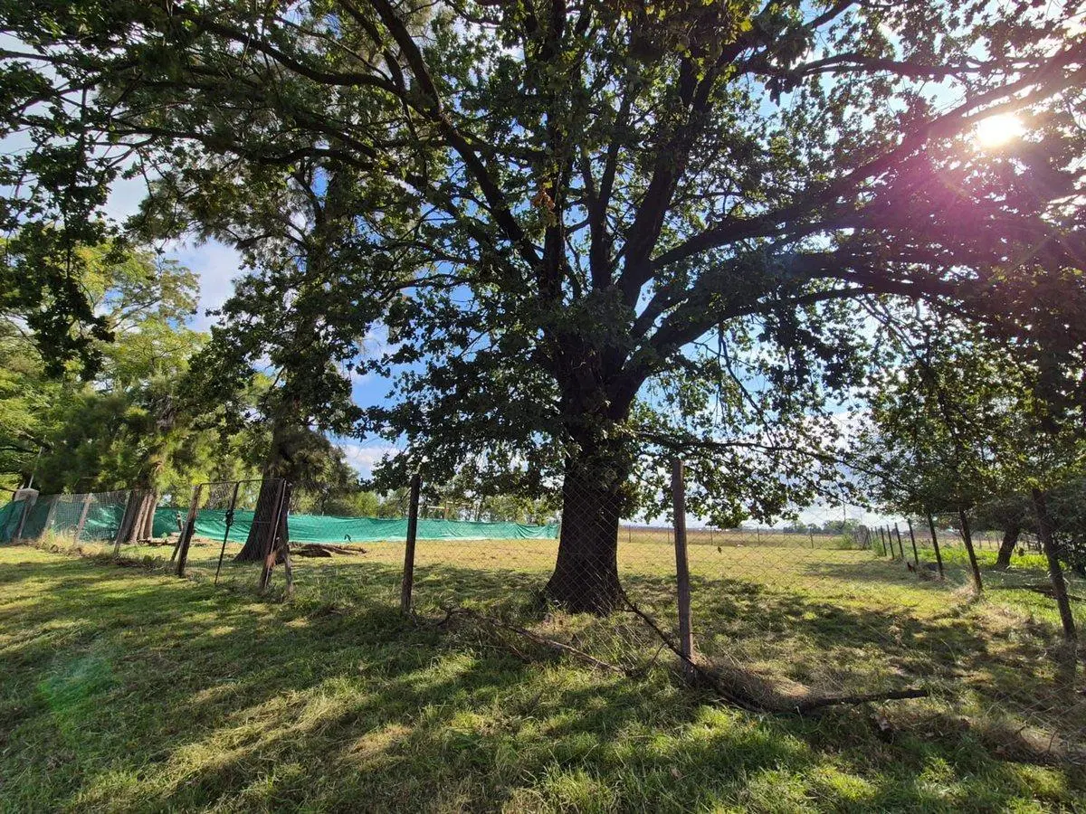 VENTA TERRENO 1000 MTS GRAL RODRIGUEZ ESCRITURA 5