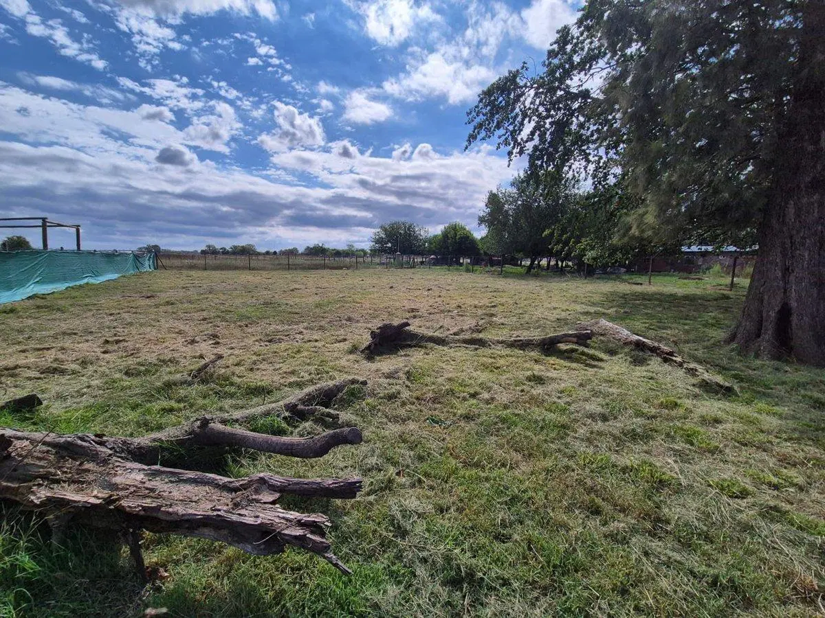 VENTA TERRENO 1000 MTS GRAL RODRIGUEZ ESCRITURA 3