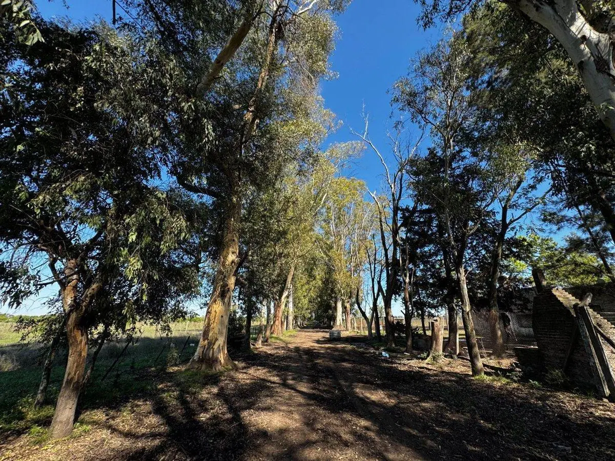 VENTA CAMPO MARCOS PAZ 82HA 2