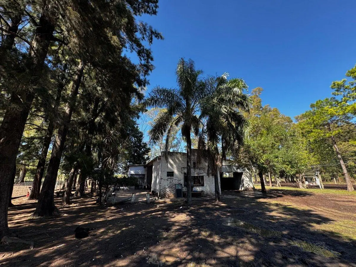VENTA CAMPO MARCOS PAZ 82HA 8
