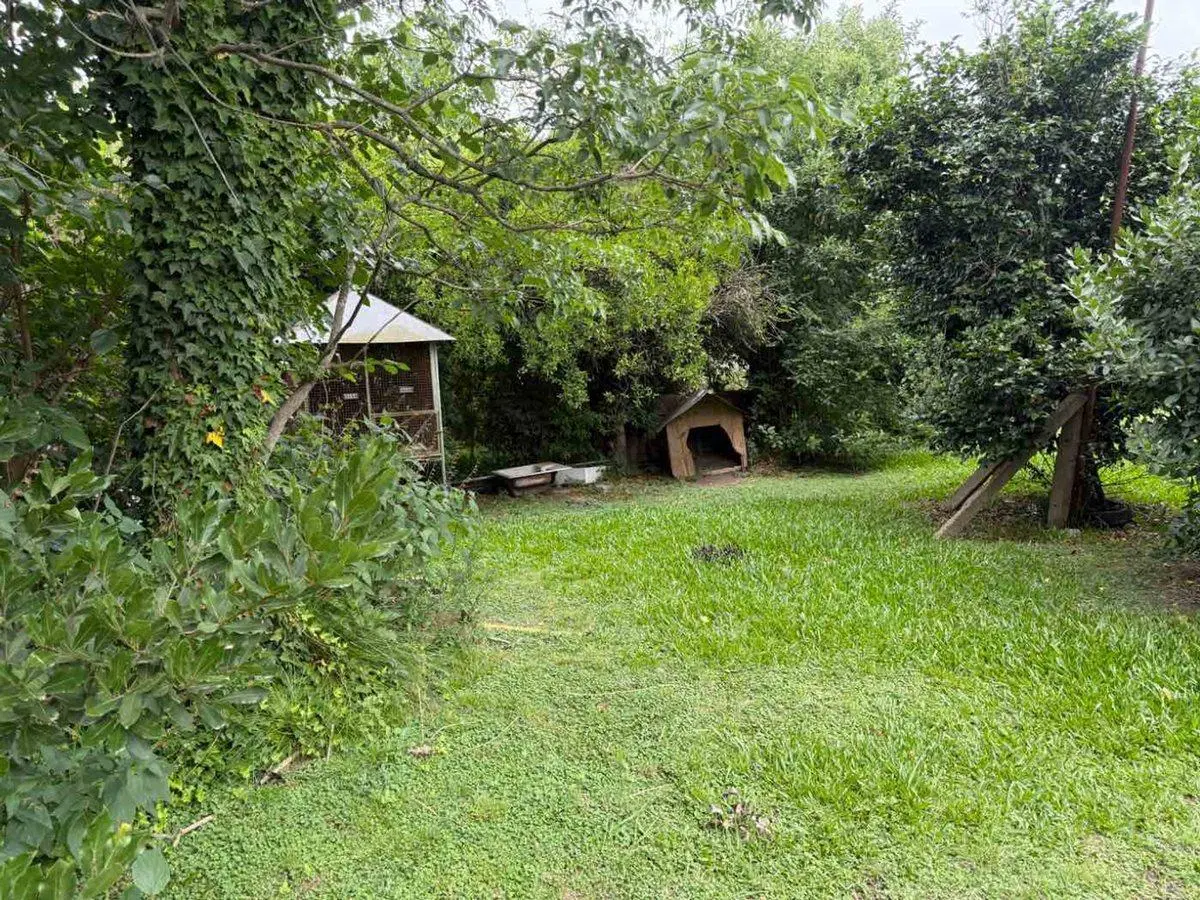 VENTA CASA QUINTA 3 AMBIENTES MORENO C/PILETA 5