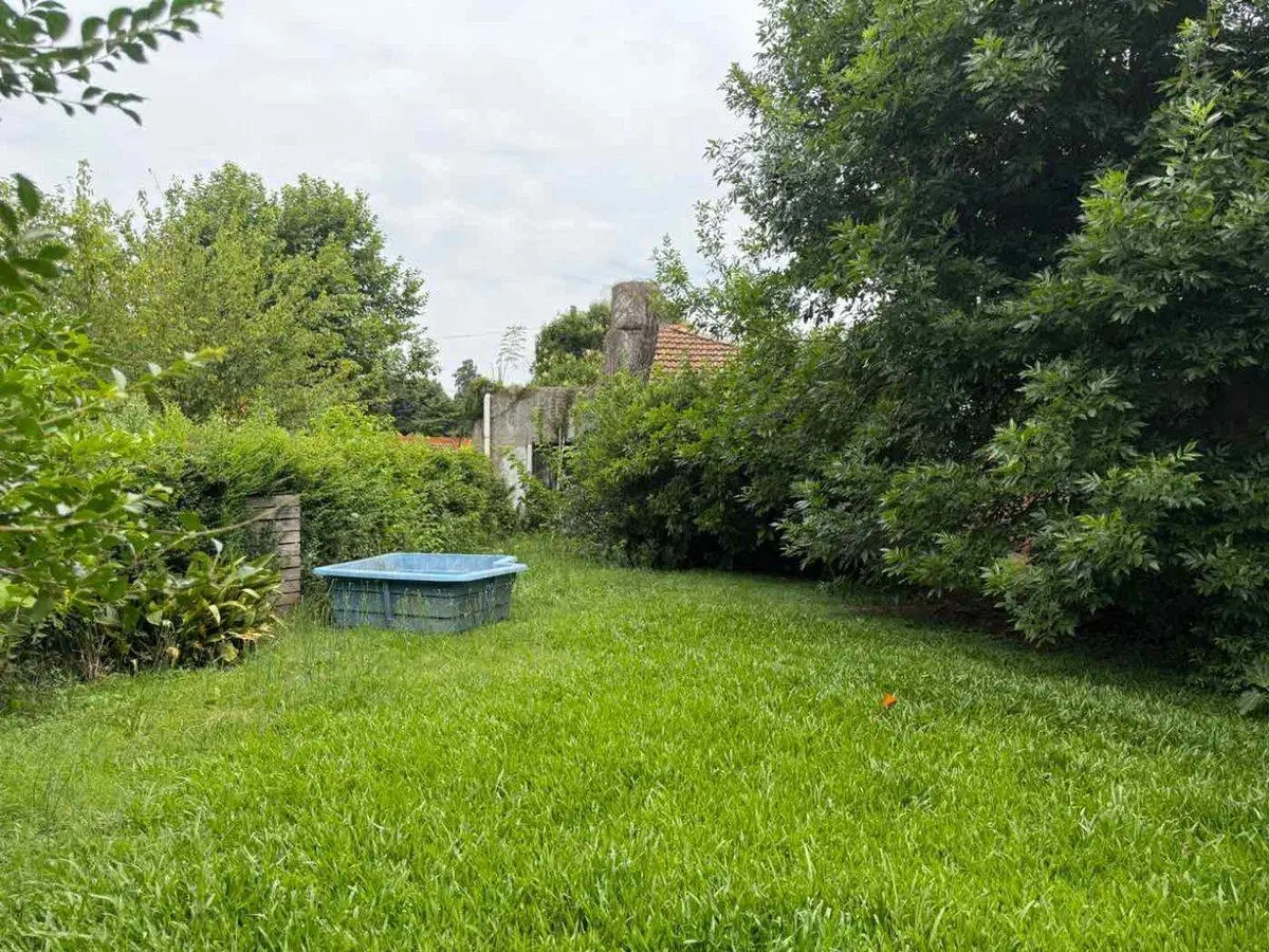 VENTA CASA 3 AMBIENTES MORENO C/JARDIN 5