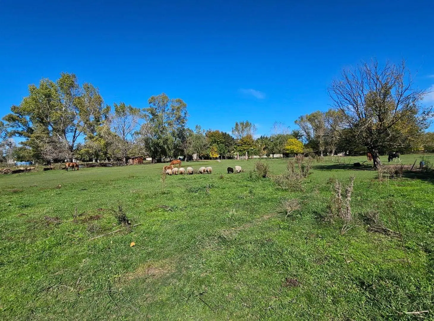 VENTA LOTE TERRENO DE 2000M2 URIBELARREA 2
