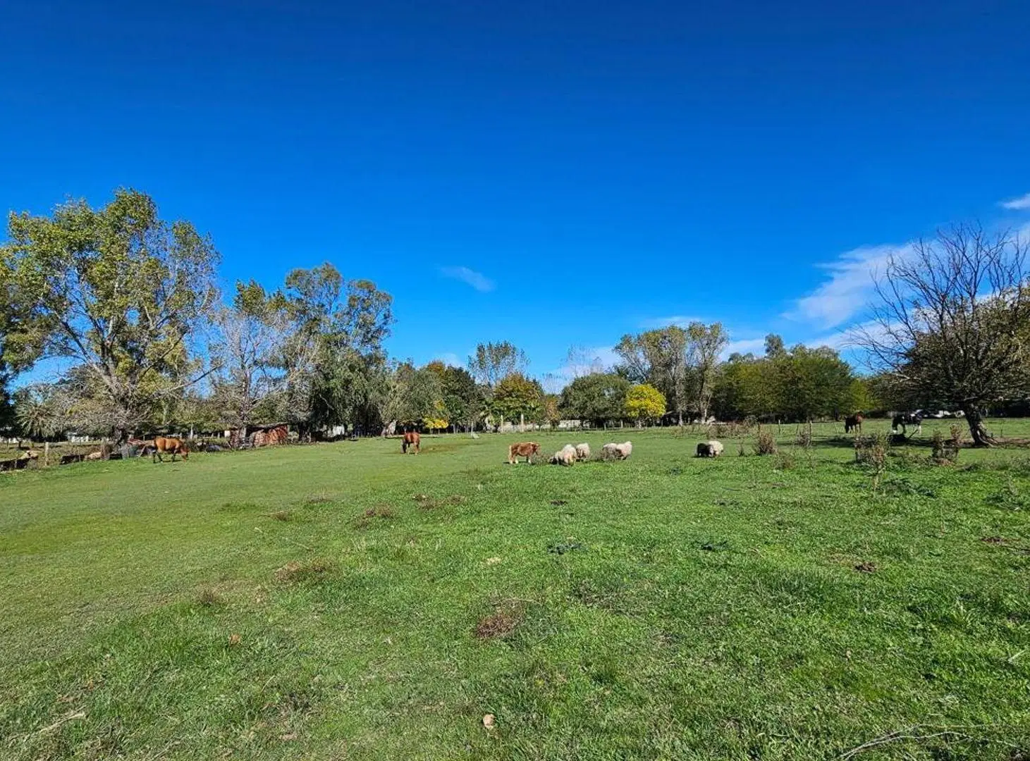 VENTA LOTE TERRENO DE 2000M2 URIBELARREA 5