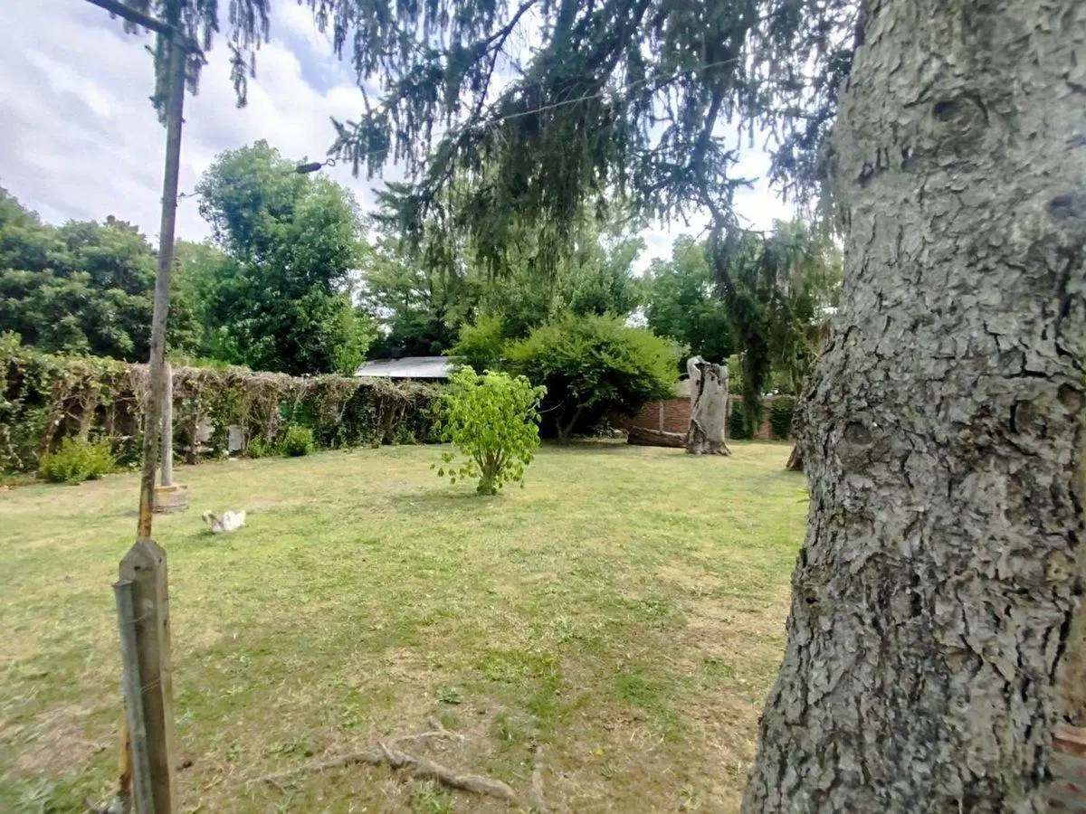 VENTA QUINTA 3 AMBIENTES SAN VICENTE CENTRO 1604M2 8