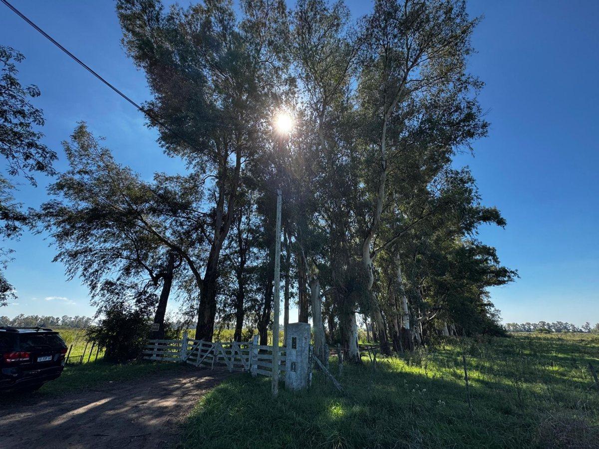 Foto de VENTA CAMPO MARCOS PAZ 82HA, imagen 3