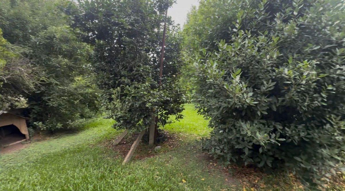 Foto de VENTA CASA 3 AMBIENTES MORENO C/JARDIN, imagen 5