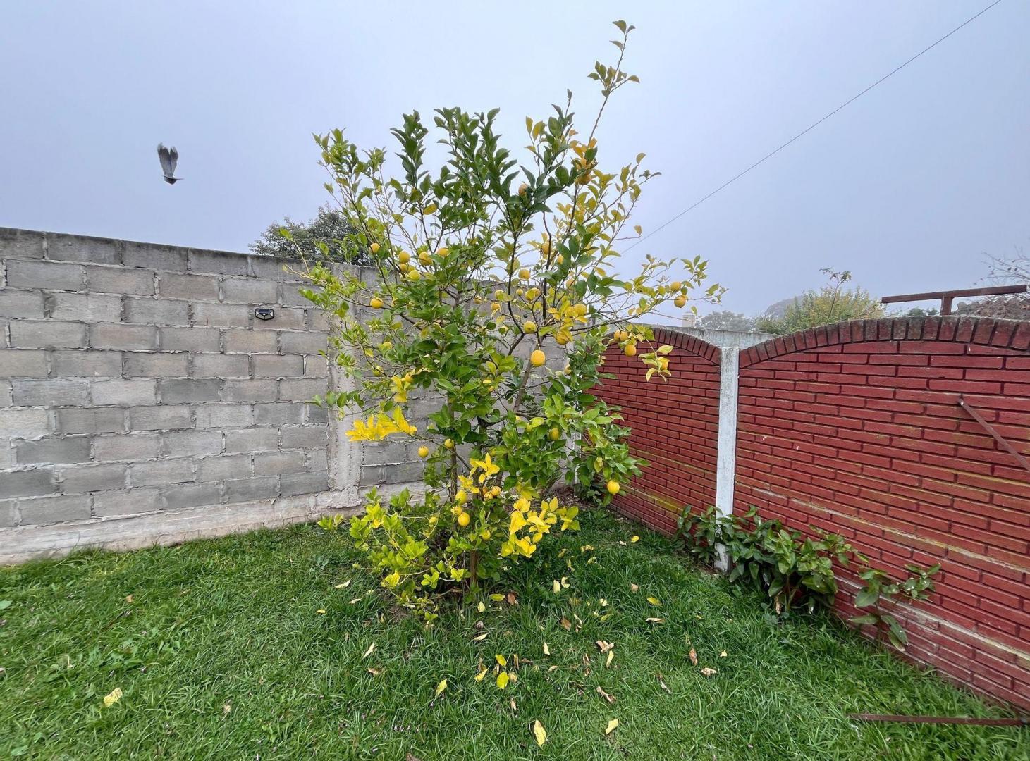 Foto de VENTA CASA 4 AMB CIUDAD EVITA DOBLE COCHERA PATIO, imagen 2
