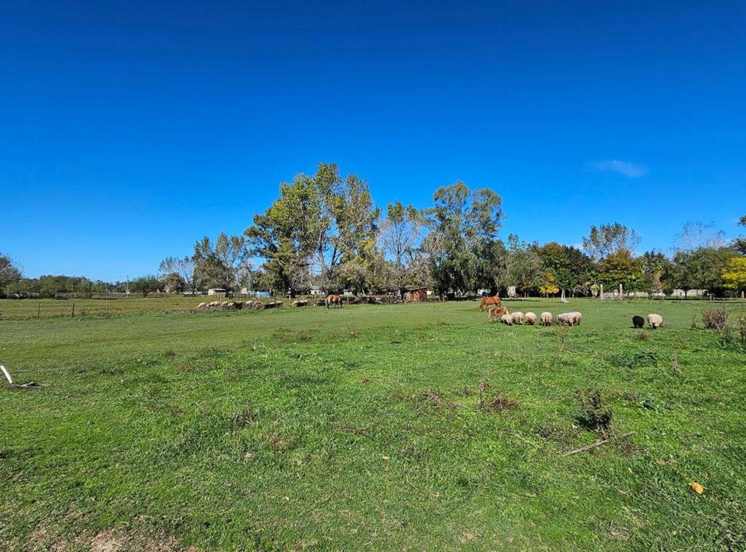 Foto de VENTA LOTE TERRENO DE 2000M2 URIBELARREA, imagen 2