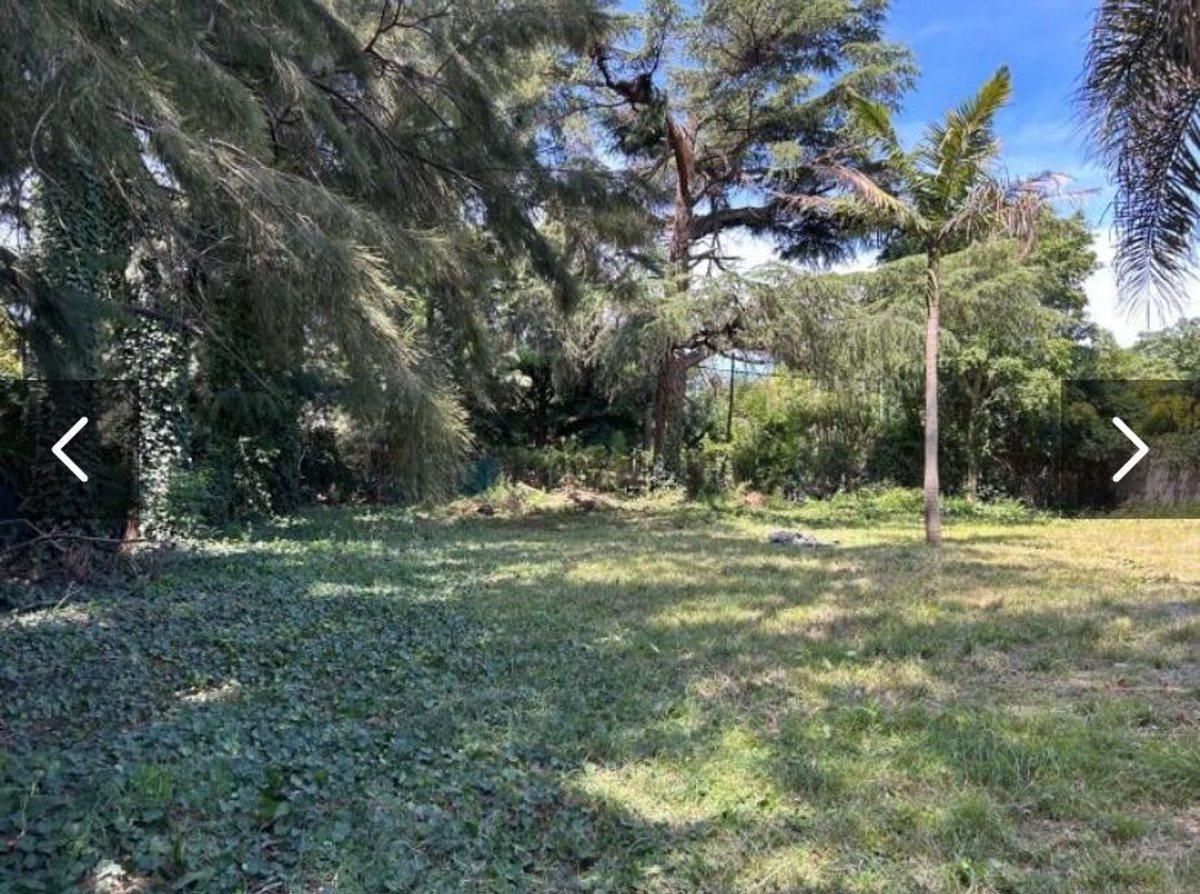 Foto de VENTA LOTE 1154M2 LAS LOMAS DE SAN ISIDRO, imagen 3