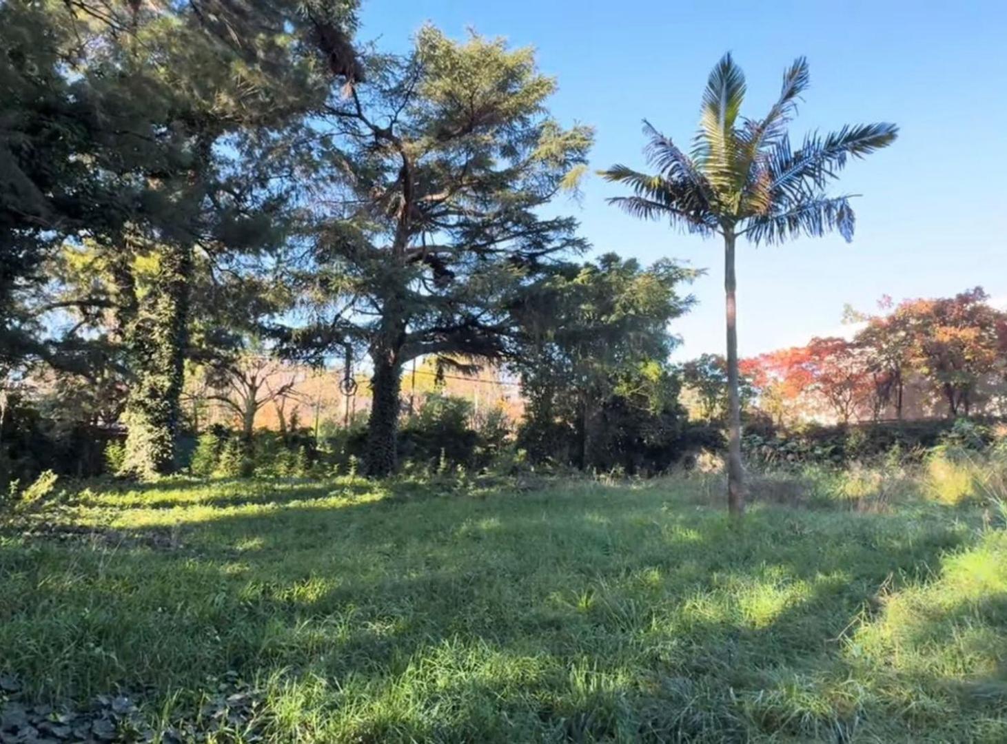Foto de VENTA LOTE 1154M2 LAS LOMAS DE SAN ISIDRO, imagen 5