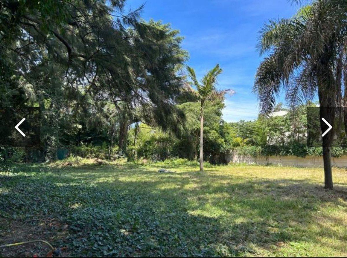Foto de VENTA LOTE 1154M2 LAS LOMAS DE SAN ISIDRO, imagen 2
